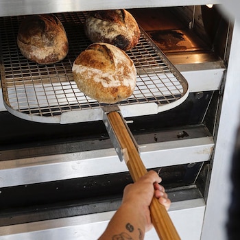 (IG: @gontrancherrierar)