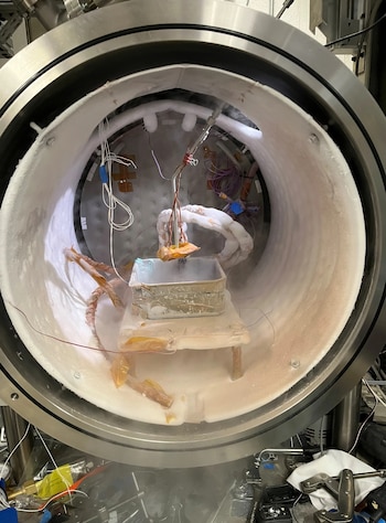 Estas estructuras se encuentran principalmente