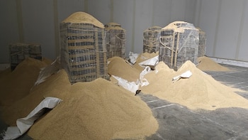 Paraguay sospecha que el contenedor