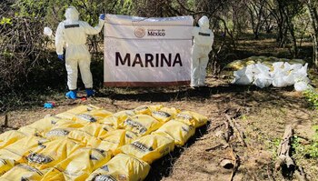 Las fuerzas federales hallaron reactores