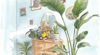 Ilustración en acuarela de un mueble de madera, espejos, plantas de interior y cuadros colgados sobre una pared de tono azul.