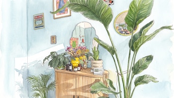 3 acciones simples para hacer en primavera e impulsar el crecimiento de las plantas de interior