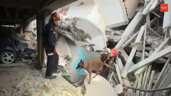 El Equipo de Emergencia de la Comunidad de Madrid rescata a una mujer y a sus dos nietos bajo los escombros en Venezuela