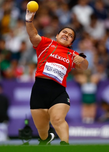 Pauleth Mejia Hernandez /