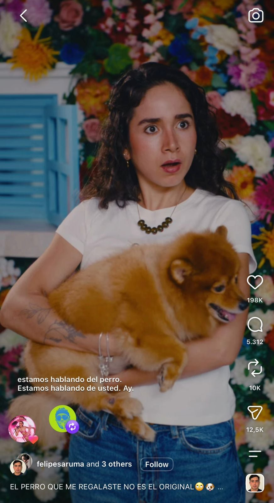 Felipe Saruma publicó una parodia sobre las declaraciones de Karina García acerca del perro que recibió una amiga - crédito @felipesaruma/ Instagram