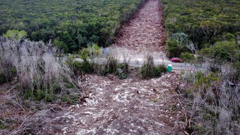 “Están tratando de enfrentarnos”: ONGs