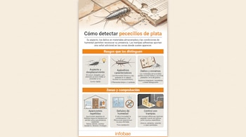 Infografía sobre cómo detectar pececillos de plata, con esquemas de insectos, libros con daños, trampas adhesivas y el logotipo de Infobae.