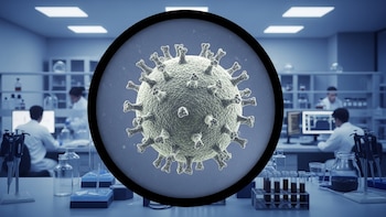 Simularon la evolución del COVID en el laboratorio y detectaron puntos clave para prevenir la próxima pandemia