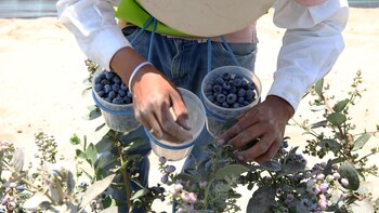 Perú está a un paso