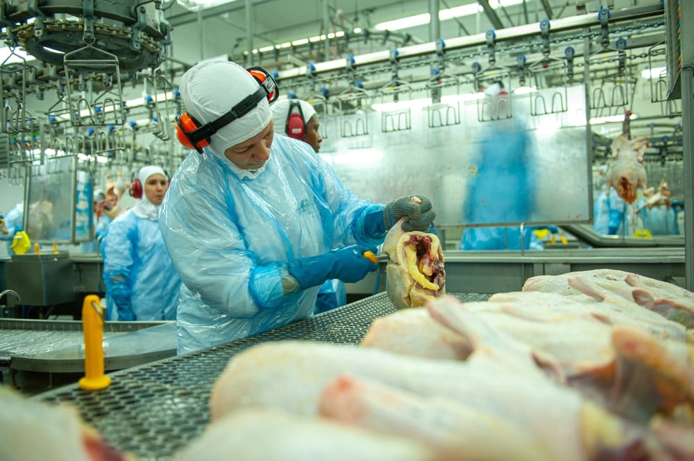 La inclusión de Emiratos Árabes Unidos en la lista de destinos admitidos para la carne de pollo colombiana se suma a una serie de mercados estratégicos que han sido abiertos en los últimos años gracias al trabajo conjunto del sector privado, el Gobierno y las entidades sanitarias - crédito Archivo