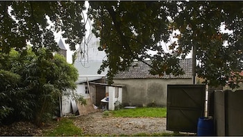 Imagen de un jardín particular.