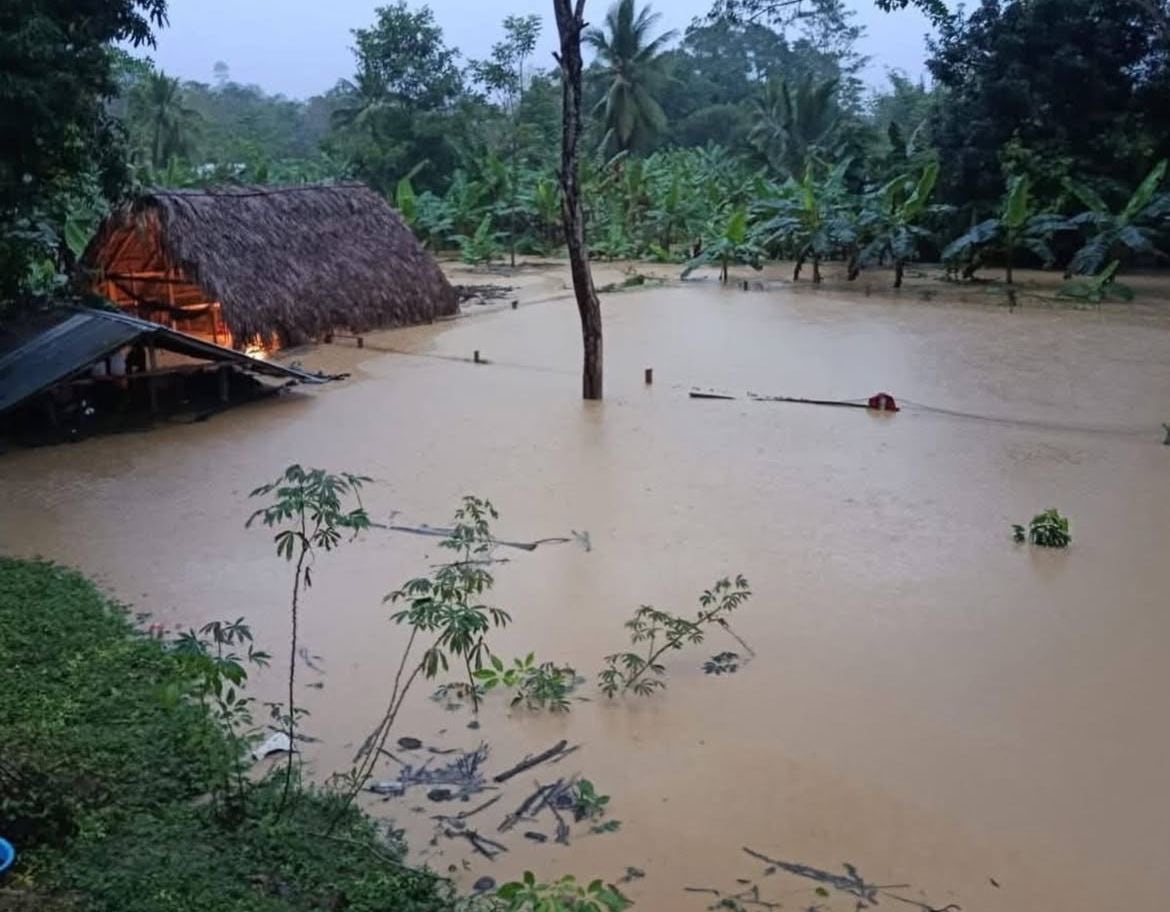 La destrucción de viviendas, pérdida de cultivos y deterioro de vías rurales limita la llegada de ayuda humanitaria y el acceso a zonas remotas en Córdoba - crédito Gobernación del Córdoba