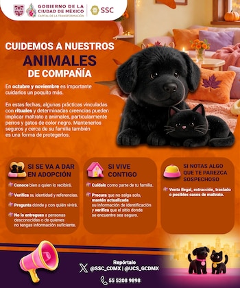 Las denuncias recibidas por ambas instancias se canalizan a las autoridades correspondientes para su seguimiento.
(X/@SSC_CDMX)