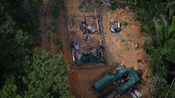 Los mineros ilegales continúan devastando