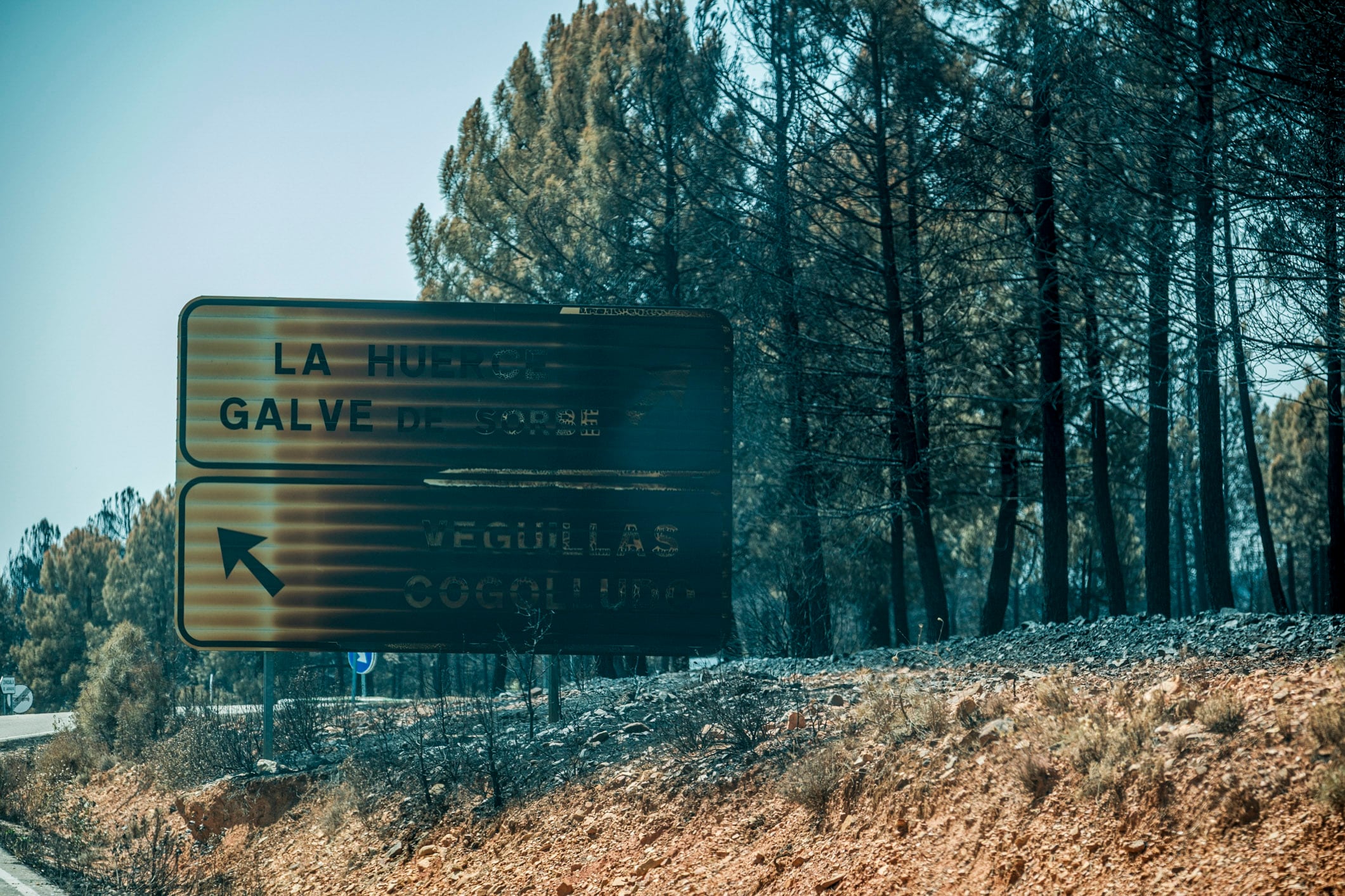 Zona afectada por el fuego dos semanas después de declararse el incendio forestal en La Mierla (Guadalajara). (EFE/Nacho Izquierdo)