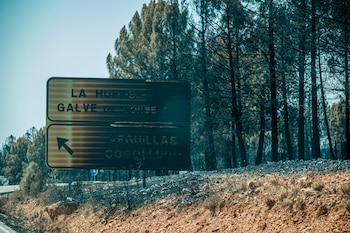 Zona atingida pelo incêndio duas semanas após o incêndio florestal em La Mierla (Guadalajara). (EFE/Nacho Izquierdo)