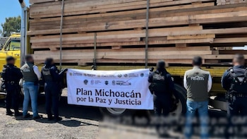 Operativo sorpresa frena tala ilegal