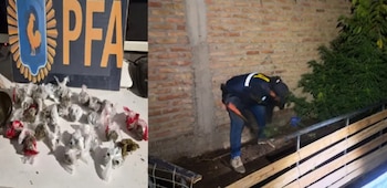 La Policía Federal Argentina desarticuló