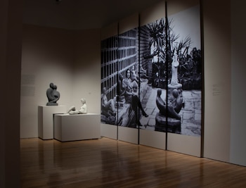 Diego Vega Solorza dirige el