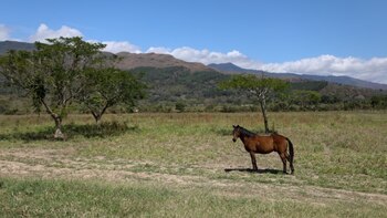 Un grupo opositor criticó la