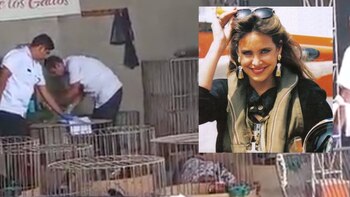 El asesinato del hermano de