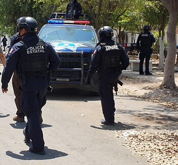 Los elementos de la SSP