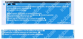 Captura de pantalla de un texto en español sobre beneficios de embarazo, enumerando pagos mensuales, asistencia médica, bonos y la entrega de un iPhone 13