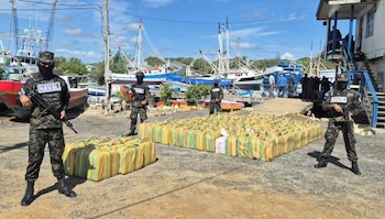 Mientras disminuyen los decomisos de cocaína, Honduras registra un aumento en la detección de cultivos de hoja de coca en distintas regiones del país. (FOTO: SEDENA)