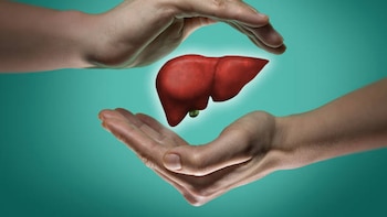 Así es como el hígado