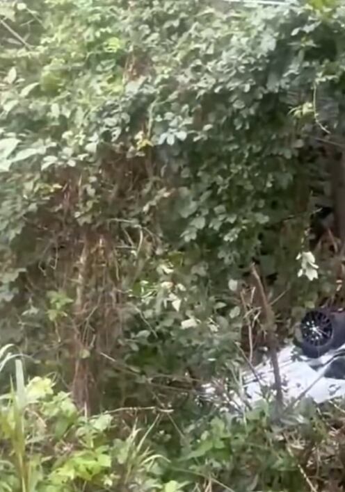 Fin de semana accidentado en Cúcuta dejó cinco muerto y varios heridos - crédito DRI Noticias/Facebook