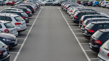 El secreto detrás de las licitaciones: cómo se definen las ofertas en grandes contratos de arrendamiento vehicular