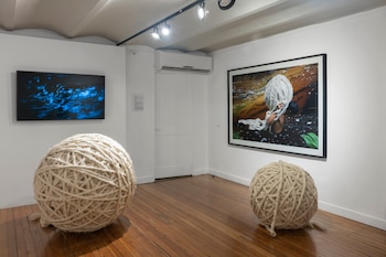 La exhibición "Trama en América",