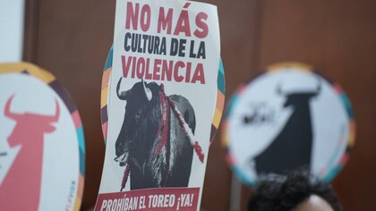 Aplazaron por segunda vez en la Cámara el debate definitivo sobre prohibición de corridas de toros en Colombia
