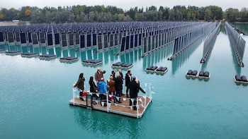 Alemania cubre un lago con paneles solares verticales y resulta en un éxito rotundo: este es el motivo