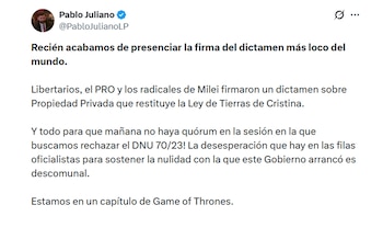 Pablo Juliano, diputado de Provincias Unidas