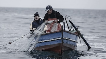 Pescadores en la mira: Marina