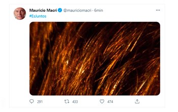 La cabellera colorada, una imagen