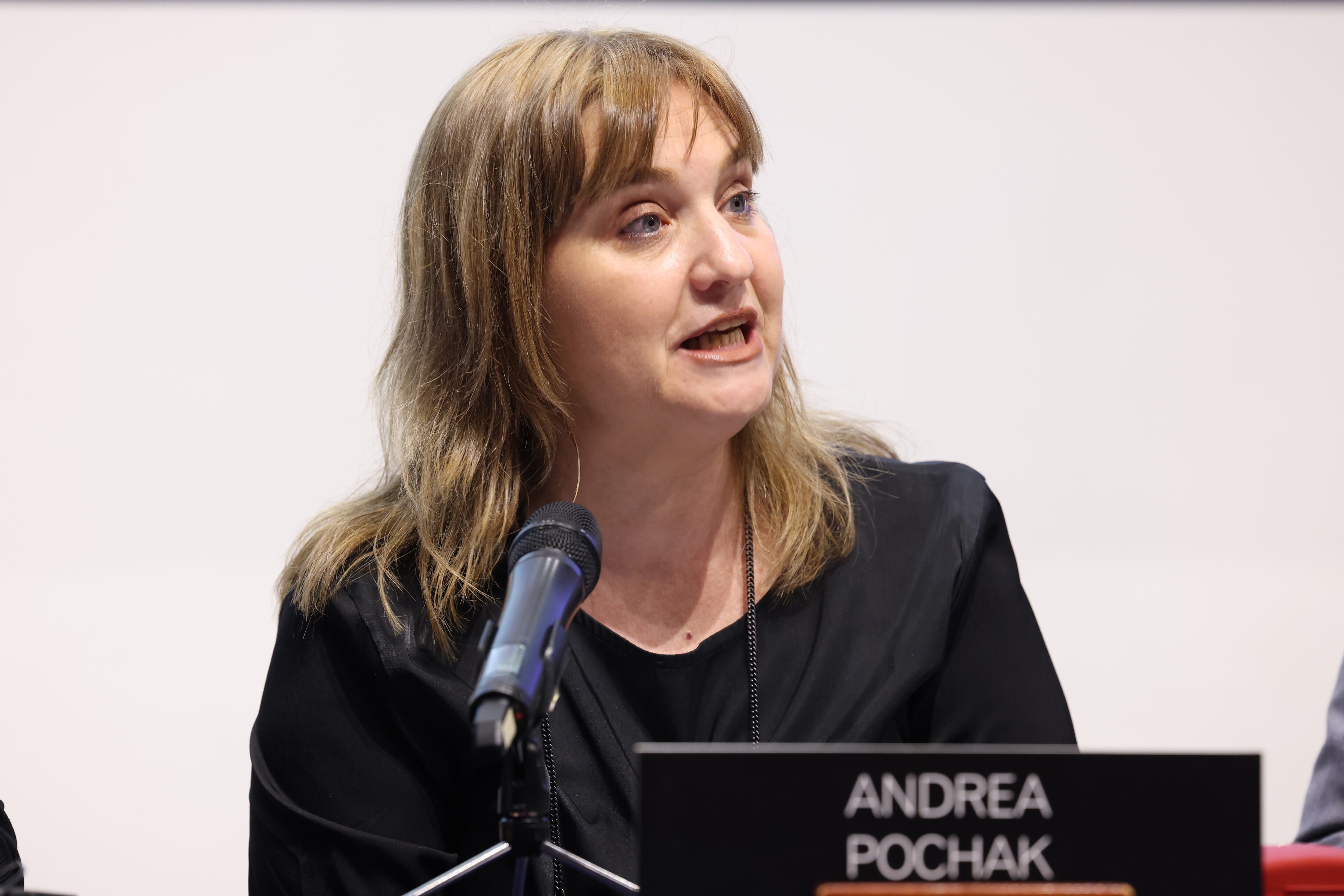 Andrea Pochak, relatora de la Comisión Interamericana de Derechos Humanos (CIDH) para Guatemala, habla durante una conferencia de prensa en Ciudad de Guatemala (Guatemala). (EFE/ Mariano Macz)