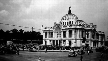 Estos pegasos hoy están en