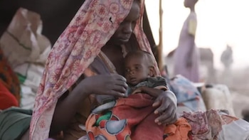 Informe de la ONU sobre