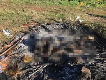 (Foto: Twitter/edysolfa)