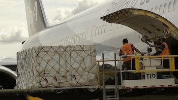 Al menos 15 muertos y