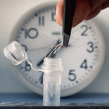 Crean un test capilar para identificar el cronotipo y el reloj biológico