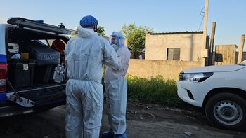 Peritos de la División Científica