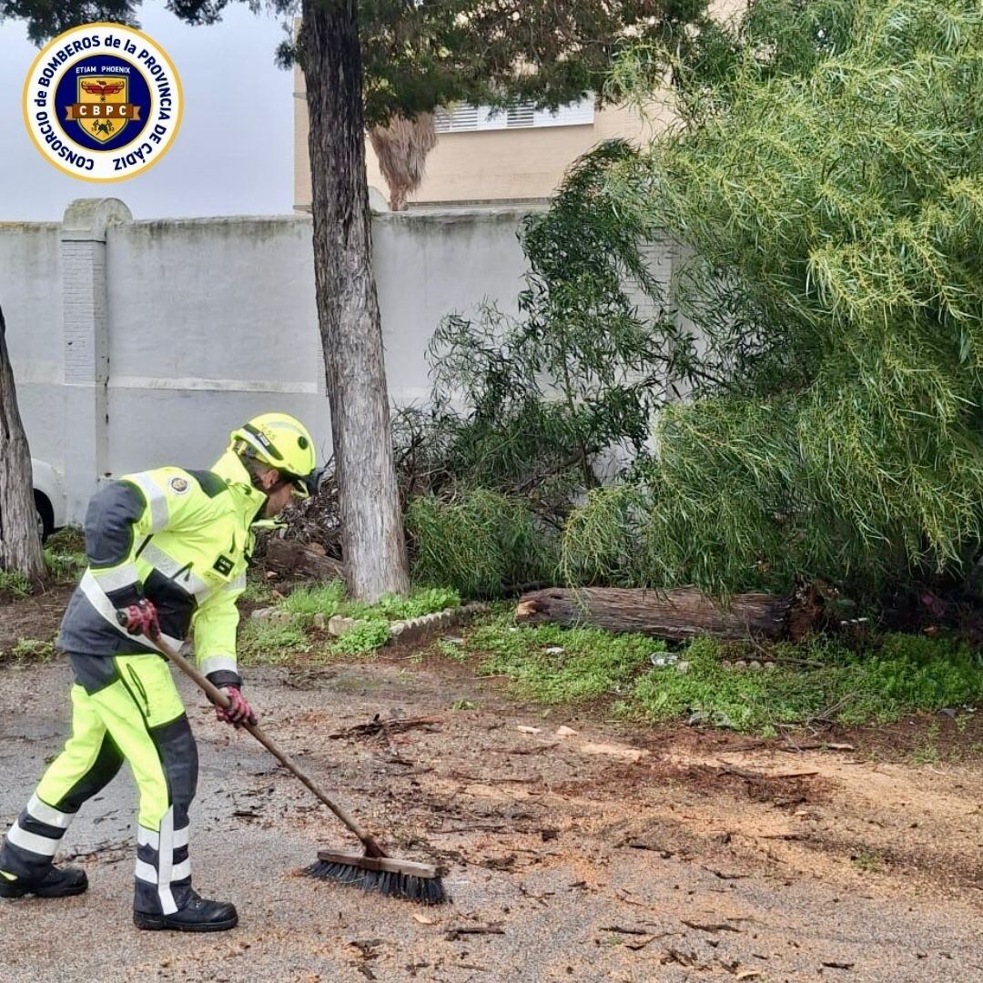 Un bombero despeja una calle afectada por la caída de un árbol en San Fernando, Cádiz (CONSORCIO PROVINCIAL DE BOMBEROS)