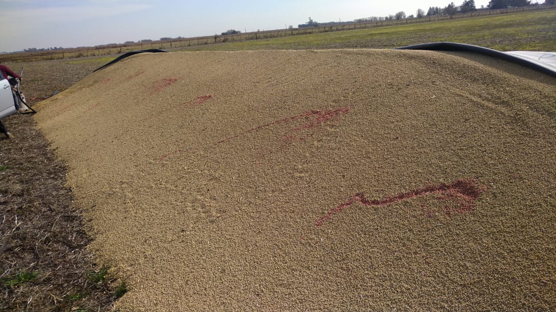 El proyecto incorpora nuevos delitos vinculados con el ingreso no autorizado a establecimientos rurales