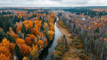 (Imagen Ilustrativa Infobae)