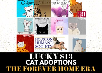 "Los 13 de la suerte",