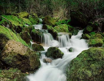 Las Fuentes de Cardener tienen el caudal más elevado durante primavera y otoño.
(Turismo de Vall de Lord)