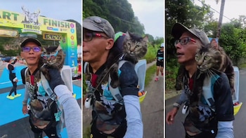 Este gato acompañó a su